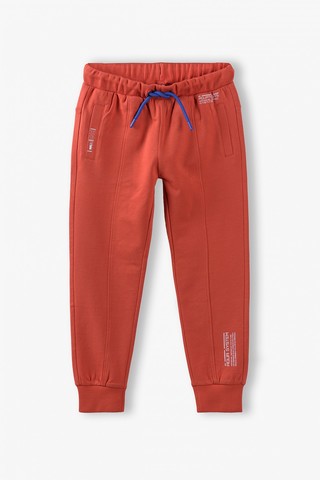 Брюки спортивные для мальчиков 5.10.15