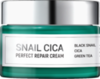 Esthetic House Snail Cica Perfect Repair Cream Крем для лица