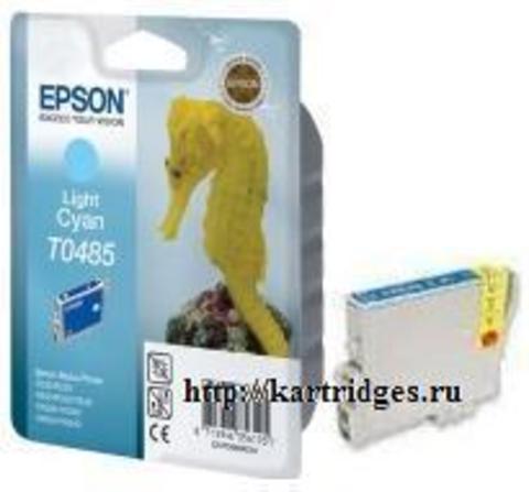 Картридж Epson T048540