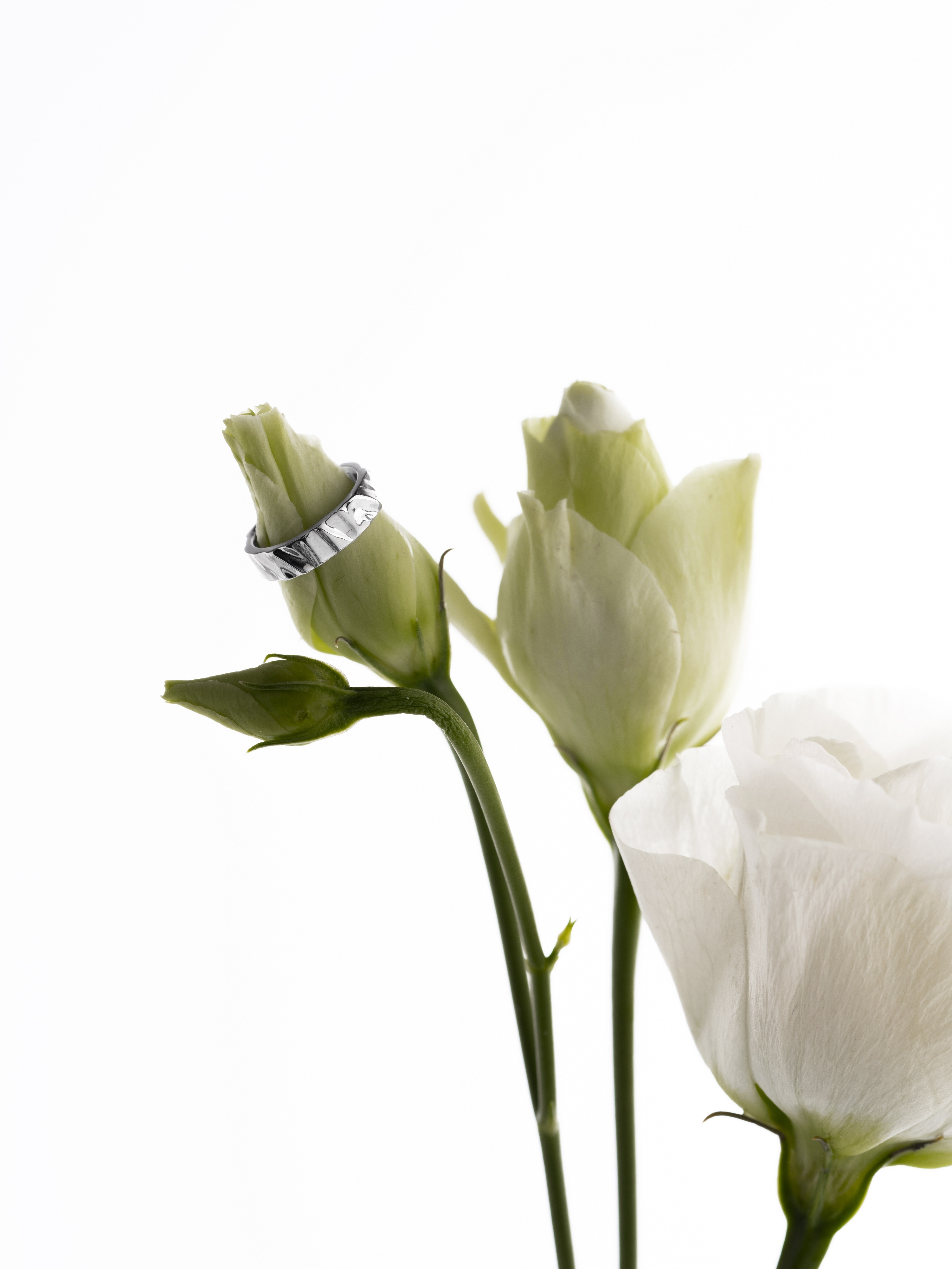 Кафф Мантия