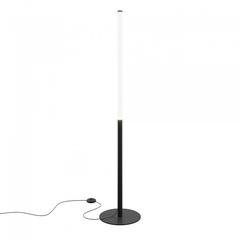 Торшер светодиодный Maytoni Ray Z012FL-L18B3K