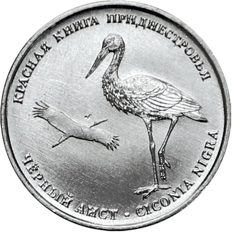 1 рубль 2019 г. Черный Аист. Серия: Красная книга "ФАУНА" Приднестровье. ПМР. UNC