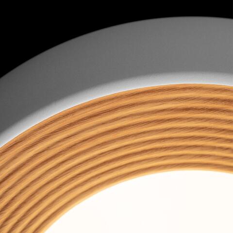 Потолочный светодиодный светильник Loft It Folk 10255/350 White