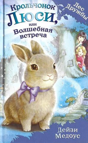 Крольчонок Люси, или Волшебная встреча