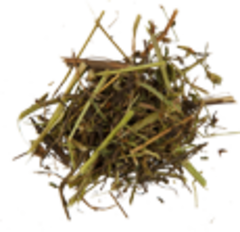 Клевер луговой (трава, 50гр.)  (Старослав)