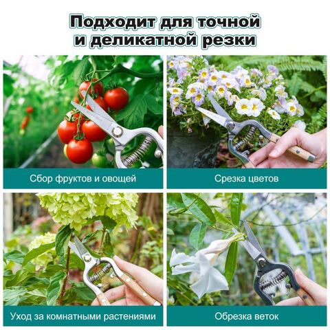 Секатор для обрезки с прямыми лезвиями и деревянной ручкой Berry&Bird