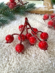 Ягоды Шиповника зонтиком в сахарной обсыпке, на ветке 9 ягод по 15 мм, набор 5 шт.