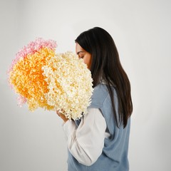 Растение стабилизированное, Гортензия на ветке, Розовый, 20*60, 60 г, 1 шт.