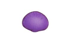 Фактурный молд 