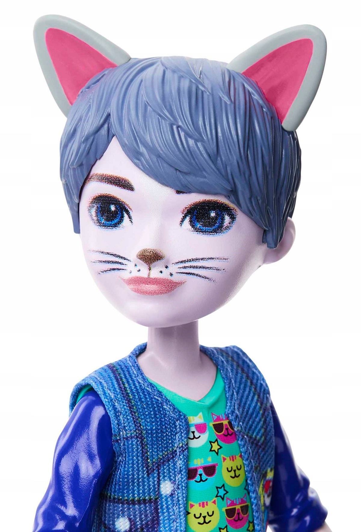 Кукла Enchantimals Mattel - COLE CAT кукла мальчик кот + питомец HNT59  купить в Москве | Доставка по России.