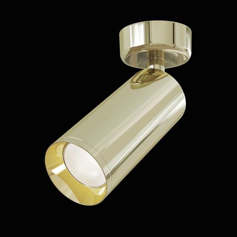 Потолочный светильник Technical Focus C017CW-01G