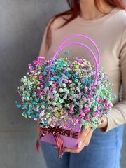 День знаний №6 Сумочка с радужной гипсофилой