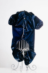 Royal Dog дождевик 