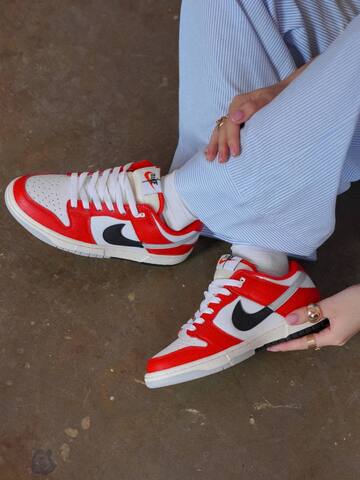 Nike Dunk Low