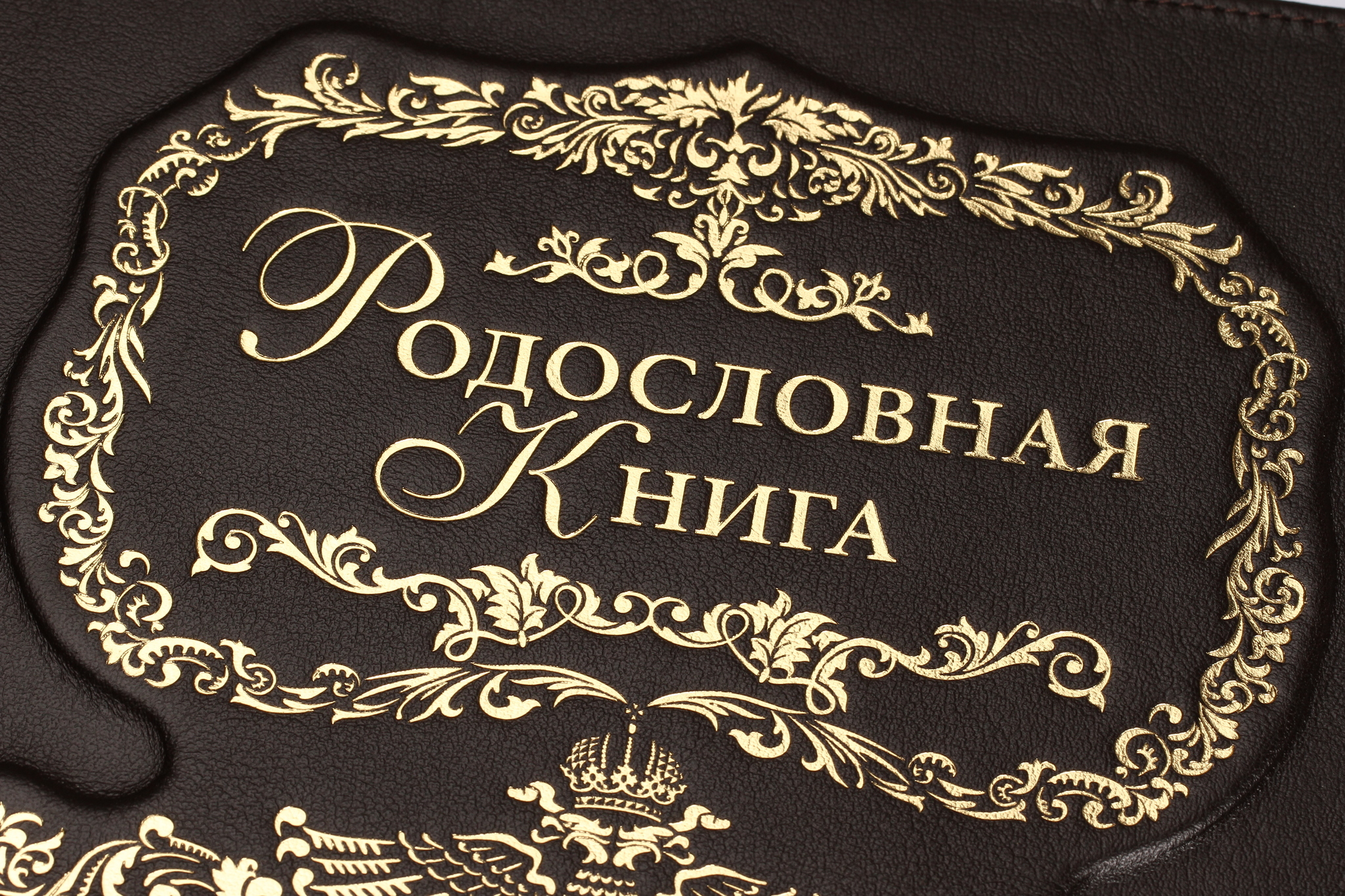 Картинка родословная книга