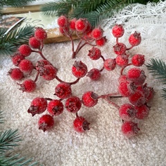 Ягоды Шиповника зонтиком в сахарной обсыпке, на ветке 9 ягод по 15 мм, набор 5 шт.