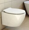 BelBagno BB216QSC Сиденье дюропластовое с быстросъёмными петлями, механизмом Soft Close
