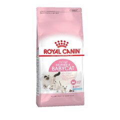 Royal Canin Mother and Babycat сухой корм для беременных, кормящих кошек и котят 2кг