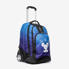 Сумки для коньков