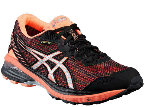 Кроссовки непромокаемые Asics Gel GT-1000 5 G-TX женские беговые