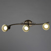 Спот Arte Lamp Focus A5219PL-3BR