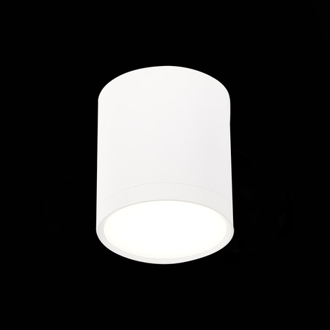 Светильник потолочный ST Luce ST113.542.05