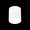 Светильник потолочный ST Luce ST113.542.05