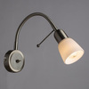Спот Arte Lamp Lettura A7009AP-1SS