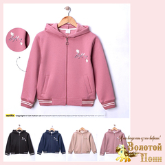 Толстовка начес д (7-10) 251105-R1053