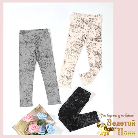 Лосины хлопок д (5-10) 260325-LCBR-А125