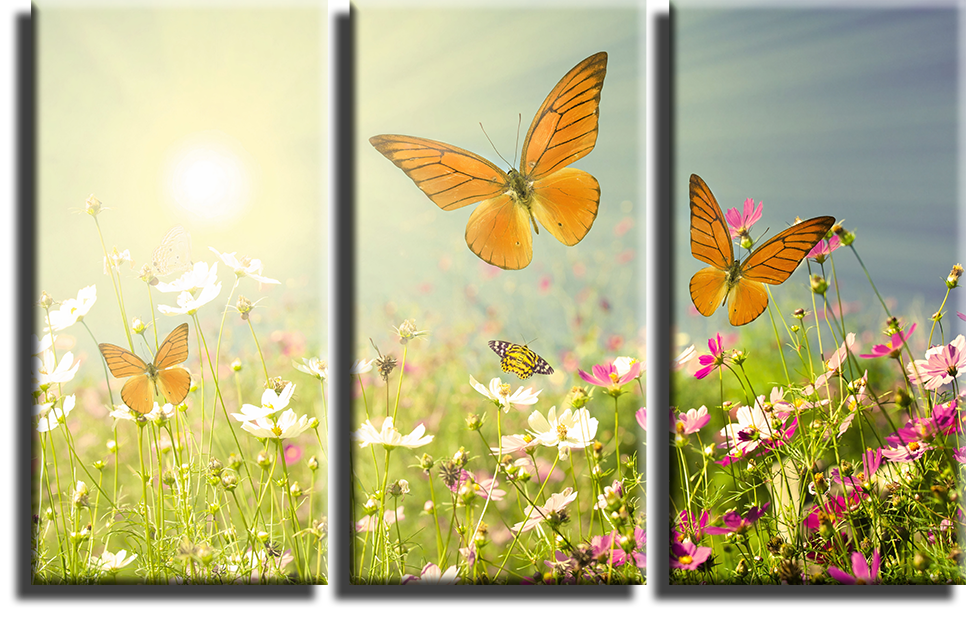 Бабочки обои, бабочки картинки, бабочки фото. Картины бабочек