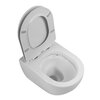 Унитаз подвесной безободковый Cezares STYLUS-TOR CZR-870-SC