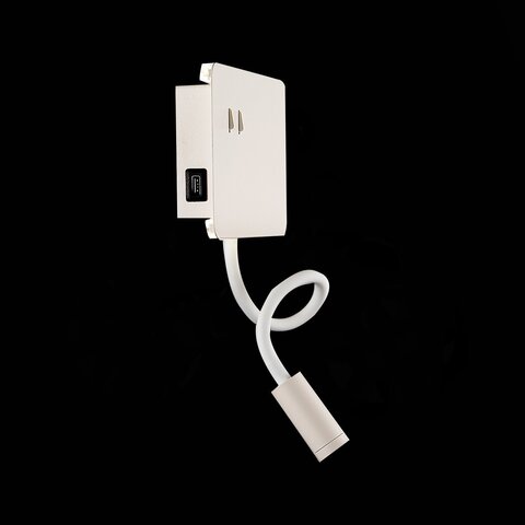 Светильник настенный ST Luce Pinaggio SL1576.501.02