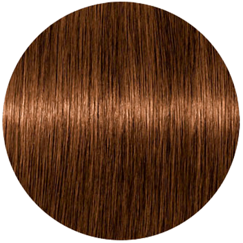 Schwarzkopf Igora Absolutes 8-60 (Светлый русый шоколадный натуральный) - Стойка крем-краска для окрашивания зрелых волос