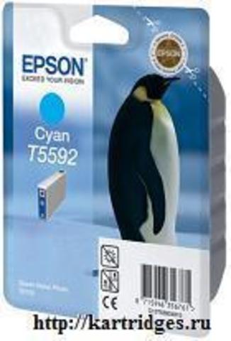 Картридж Epson T559240