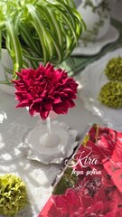 Прозрачный набор кондитерских гвоздиков 