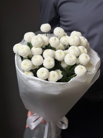 Кустовая хризантема «Ньютон» (белая)