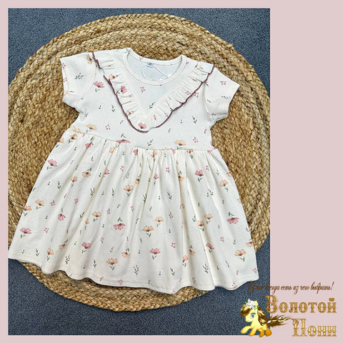 Платье хл/трикотаж д (2-6) 260123-WQ271