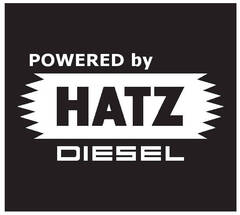 Генератор дизельный сварочный EUROPOWER EP 220 DX DC