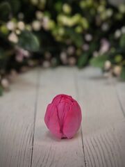 Комплект пищевых молдов 