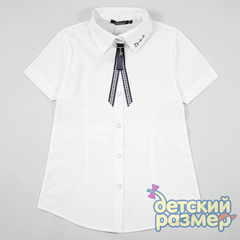Блузка (вытачки, брошь)
