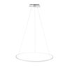 Светильник подвесной ST Luce Erto SL904.513.01