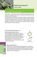 Доминик Боду 