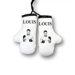 Перчатки боксерские комбинированные "Джо Луис", белые с черным