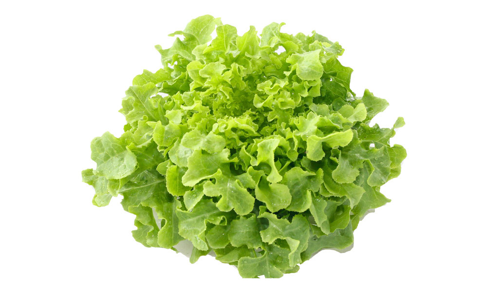 salat-afcion-g