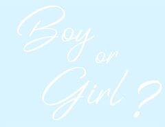 Наклейка на шар, Boy or Girl, , Белый, 18*22,5 см, 1 шт.