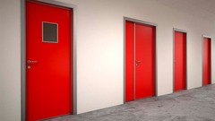 Дверь противопожарная 2080*780 7035 R ДПМ EI-60