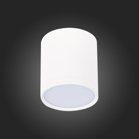 Светильник потолочный ST Luce ST113.542.05