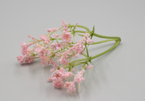 Головка соцветия гипсофила с обсыпкой розовая, высота 10см (10шт)