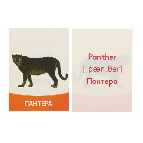 Обучающие карточки 